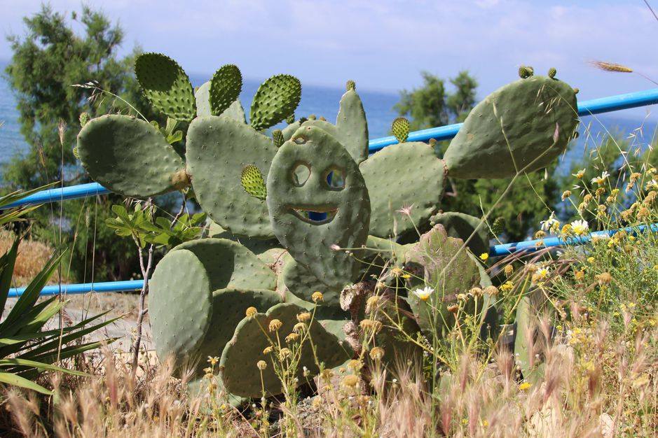 Yoga en Mindfulness Retraite in Kreta Griekenland