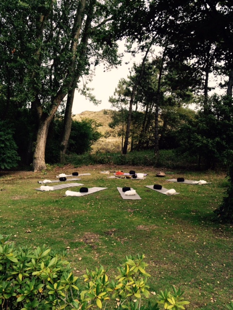 A morning of Yoga and Mindfulness in Wassenaar