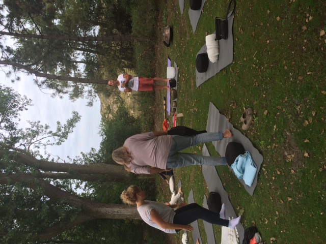 A morning of Yoga and Mindfulness in Wassenaar